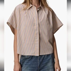 rag & bone Beige and Blue Striped Blouse